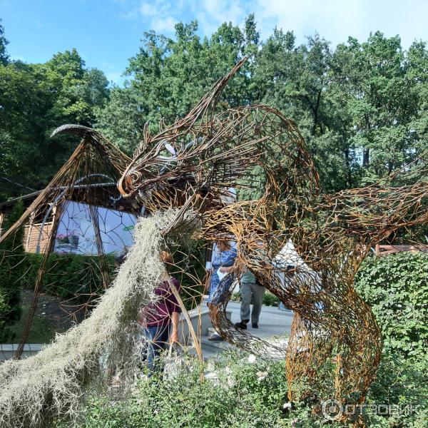 Ежегодная выставка-ярмарка Воронеж город-сад (Россия, Воронеж) фото