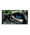 Clan Carleone
