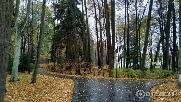 Санаторий Валуево (Россия, Московская обл.) фото