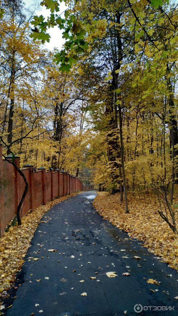 Санаторий Валуево (Россия, Московская обл.) фото