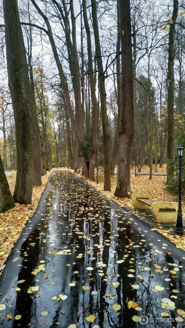 Санаторий Валуево (Россия, Московская обл.) фото