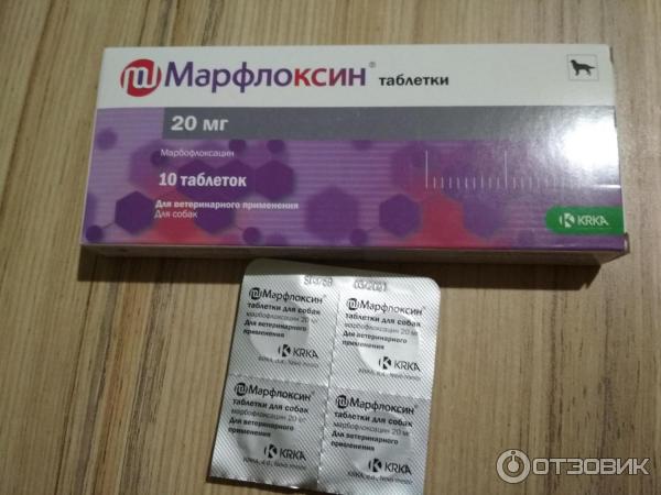 Марфлоксин инструкция для кошек