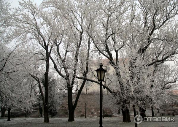 Город Братислава (Словакия) фото