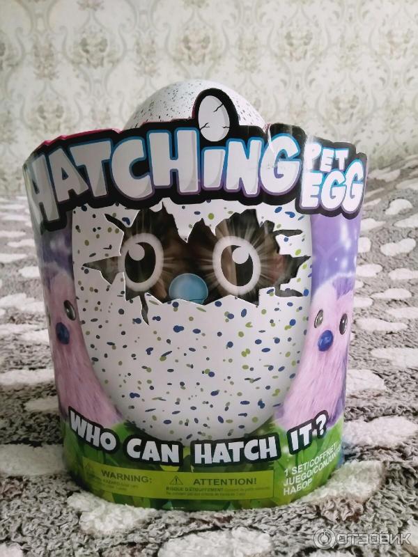 интерактивная игрушка яйцо hatchimals. игрушка hatchmali. Hatchimals в яйце. Pet hatchers. интерактивный питомец вылупляющийся из яйца хэтчималс.