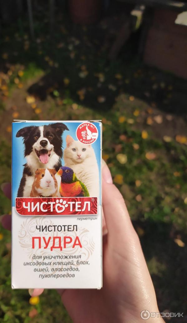 Чистотел пудра для животных. Чистотел пудра от блох. Чистотел пудра для животных. Пудра от блох для животных. Пудра чистотел.
