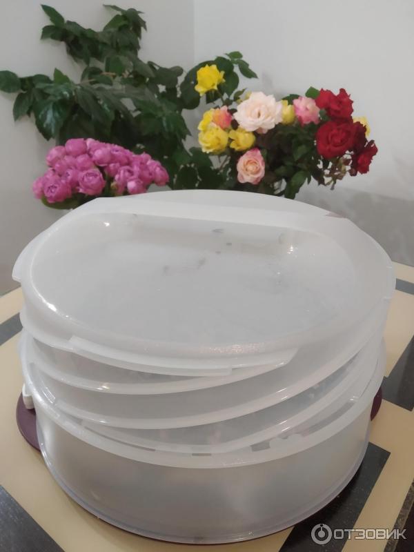 Тортница Tupperware