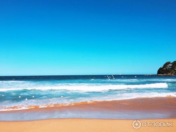 Пляж Avoca Beach (Австралия, Сентрал Кост) фото