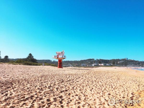 Пляж Avoca Beach (Австралия, Сентрал Кост) фото