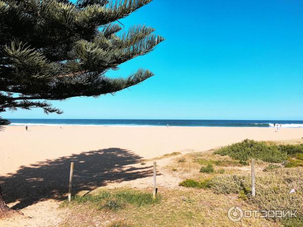 Пляж Avoca Beach (Австралия, Сентрал Кост) фото