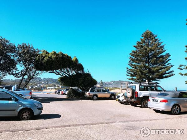 Пляж Avoca Beach (Австралия, Сентрал Кост) фото