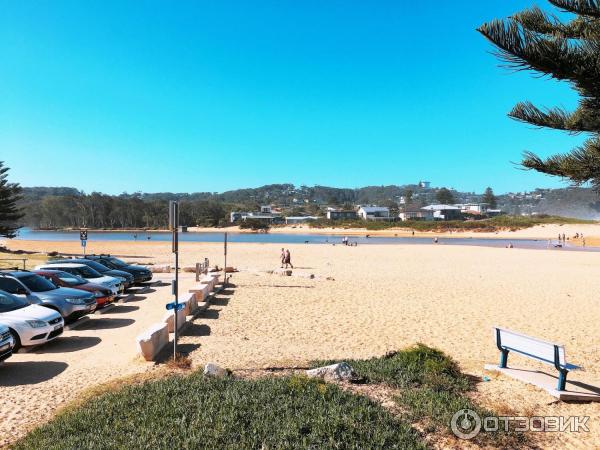 Пляж Avoca Beach (Австралия, Сентрал Кост) фото