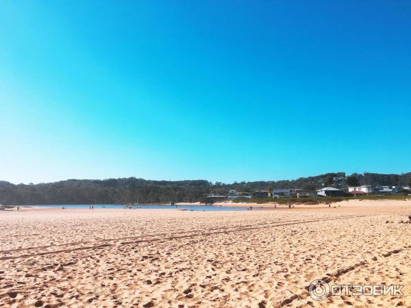 Пляж Avoca Beach (Австралия, Сентрал Кост) фото