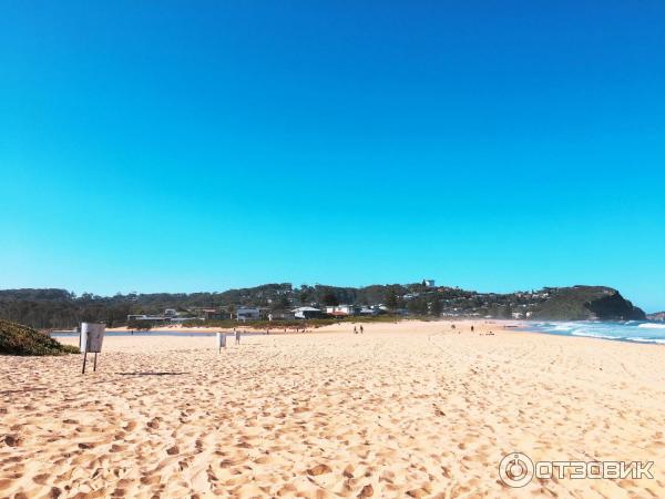 Пляж Avoca Beach (Австралия, Сентрал Кост) фото