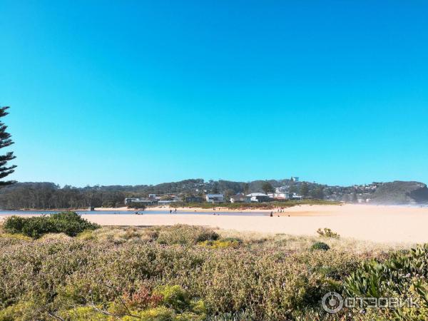 Пляж Avoca Beach (Австралия, Сентрал Кост) фото