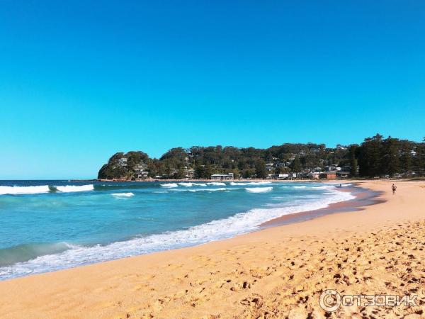 Пляж Avoca Beach (Австралия, Сентрал Кост) фото