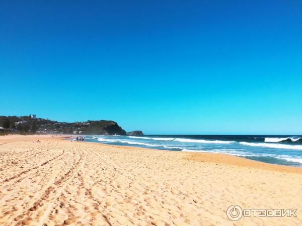 Пляж Avoca Beach (Австралия, Сентрал Кост) фото