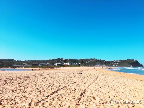 Пляж Avoca Beach (Австралия, Сентрал Кост) фото