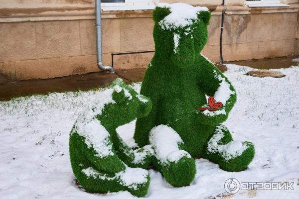 Медведи у детской больницы