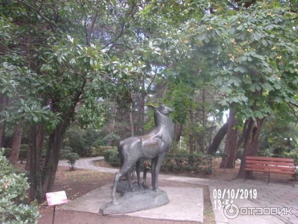 Ботанический сад военного санатория Гурзуфский (Крым) фото