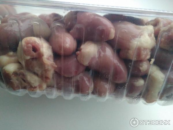 Няшенька северная