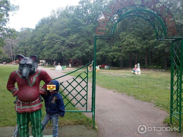 Парк Дубки В Сестрорецке Фото