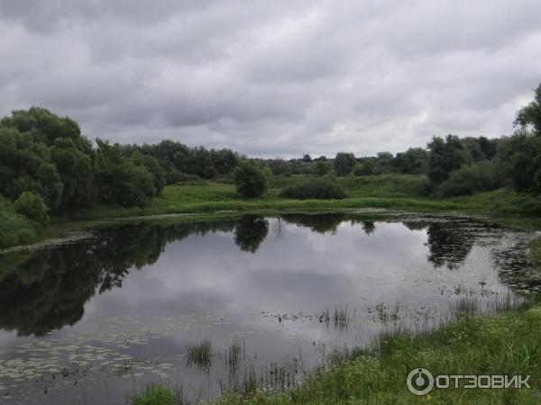 Поселок Боголюбово (Россия, Владимирская область) фото