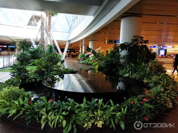 jewel changi airport Сингапур