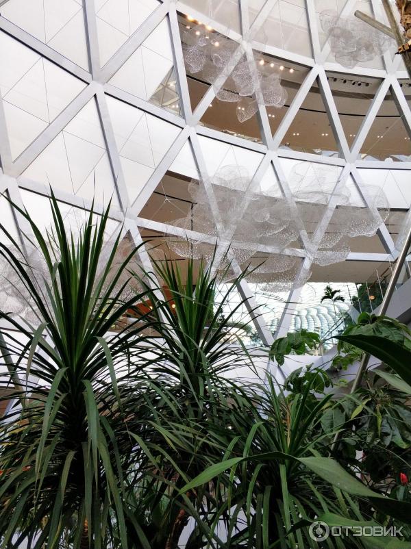 jewel changi airport Сингапур