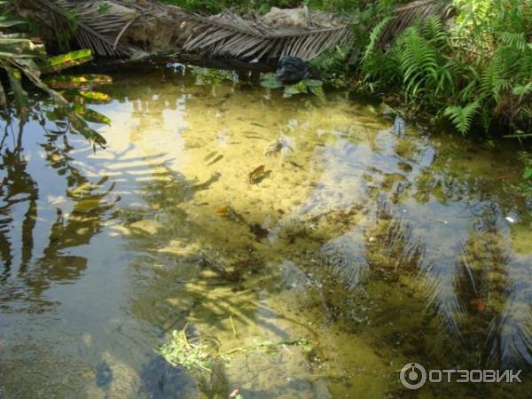 Экскурсия на Fairy Stream (Вьетнам, Муйне) фото