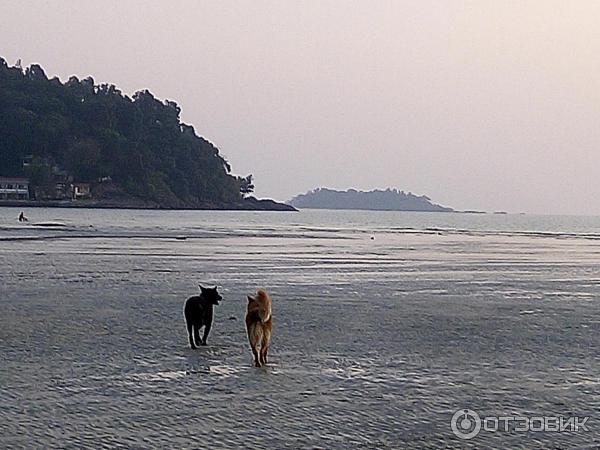 Отель Centara Koh Chang Tropicana Resort 4* (Таиланд, Трат) фото