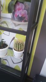Стеллаж Ikea Витше фото