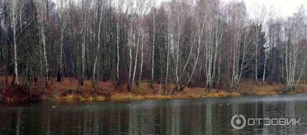 Музей-заповедник А. С. Пушкина Усадьба Захарово (Россия, Московская область) фото