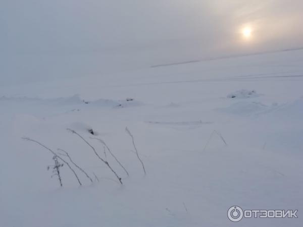 Белое море (Россия, Карелия) фото