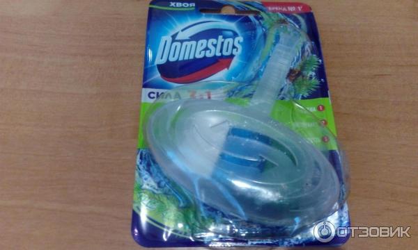 Блок гигиенический для унитаза Domestos Хвоя фото