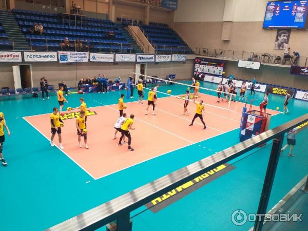 Вязовая 10 академия волейбола. Академия волейбола спб. Вязовая 10 академия волейбола. Памятник волейболу. Вязовая 10 академия волейбола.