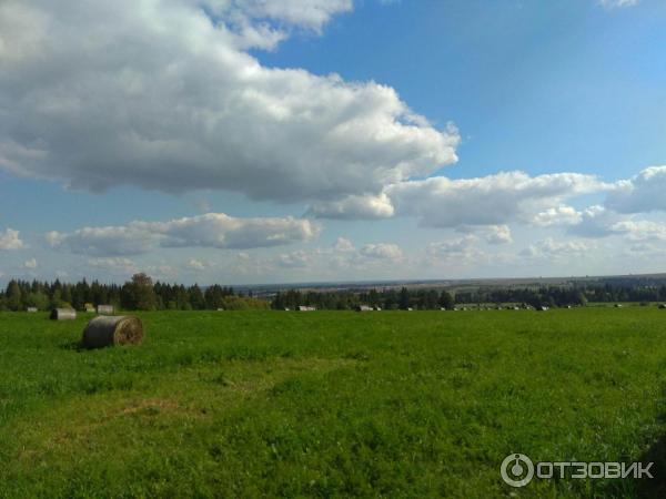 Оленья ферма Гринфилд парк (Россия, Ижевск) фото