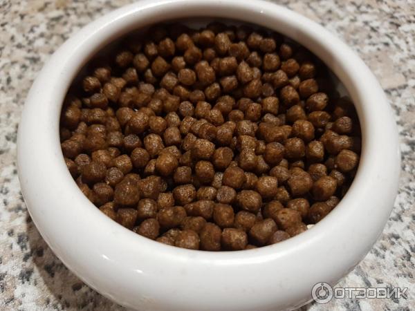 Корм для котят Grandorf kitten фото