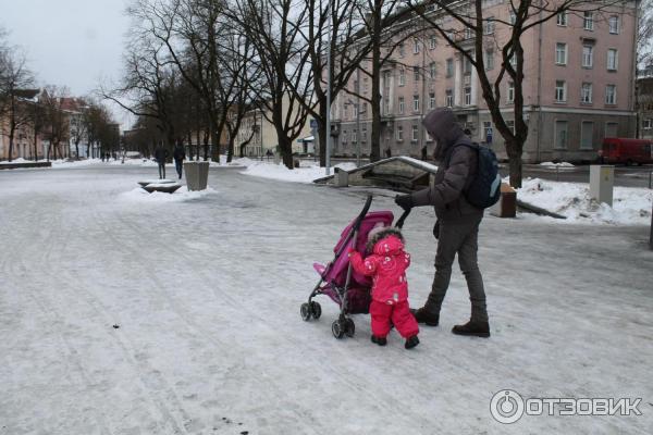 Город Нарва (Эстония) фото