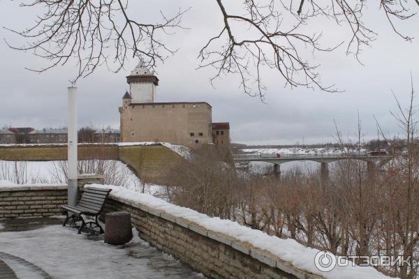 Город Нарва (Эстония) фото