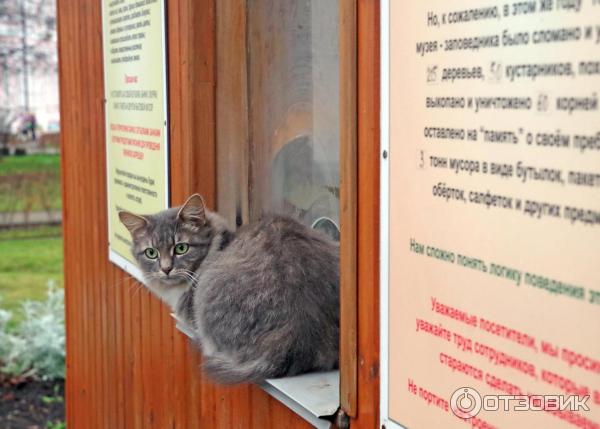 Музей-заповедник А. С. Пушкина Усадьба Вяземы (Россия, Московская область) фото