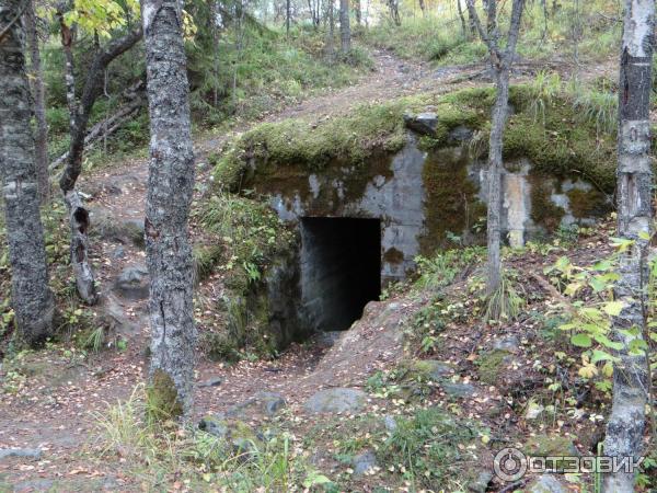 Линия Маннергейма (Россия, Медвежьегорск) фото