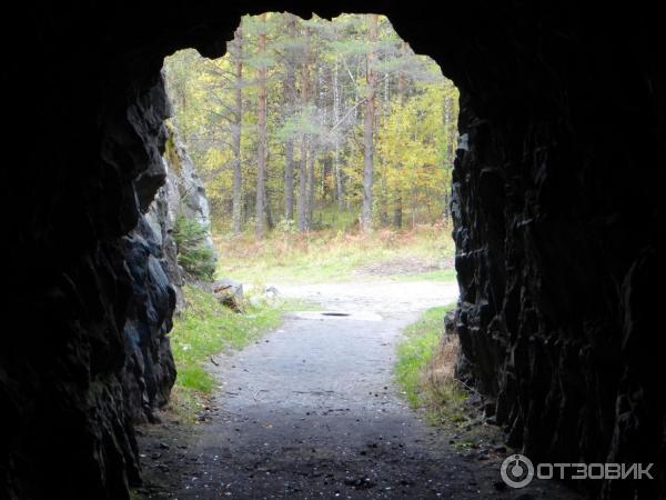 Линия Маннергейма (Россия, Медвежьегорск) фото