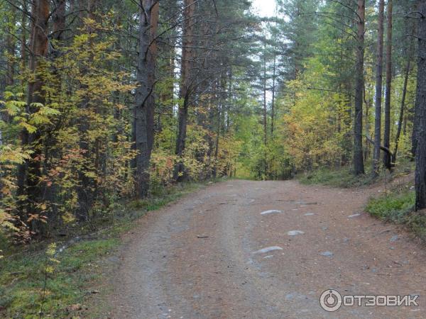 Линия Маннергейма (Россия, Медвежьегорск) фото