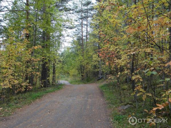 Линия Маннергейма (Россия, Медвежьегорск) фото