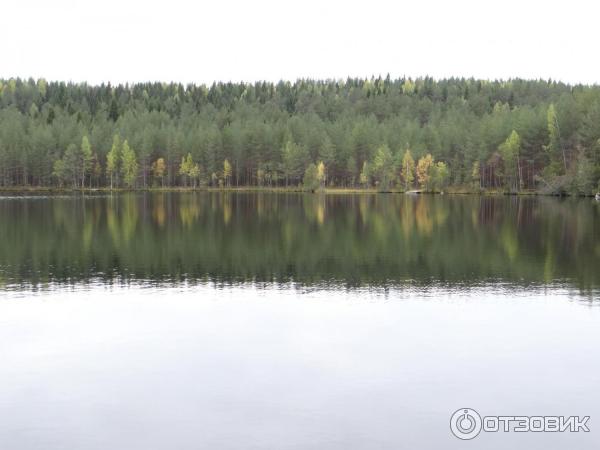 Линия Маннергейма (Россия, Медвежьегорск) фото