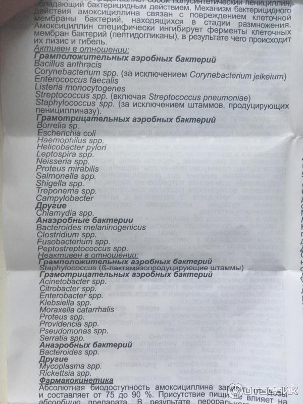 Сколько пить амоксициллин 500 взрослым. Антибиотик амоксициллин. Как пьются антибиотики амоксициллин. Амоксициллин 500 это антибиотик или нет. Амоксициллин таблетки 0,5.