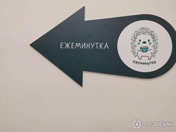 Ежеминутка ул арбат 6 2 москва отзывы. Антикафе с ежами. Тайм-кафе «Ежеминутка». Кафе Ежеминутка в Москве.
