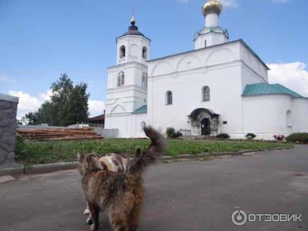 Экскурсия по г. Суздаль (Россия, Владимирская область) фото