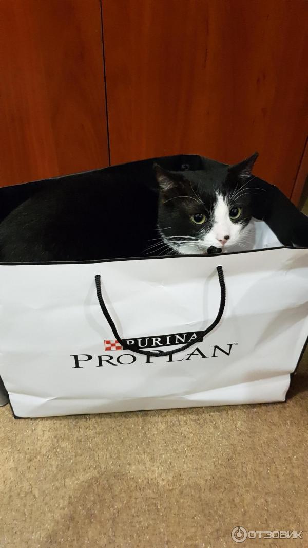 Корм для котят Purina Pro Plan фото