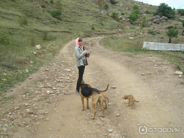 Экскурсия по старинному селу Гамсутль (Россия, Дагестан) фото